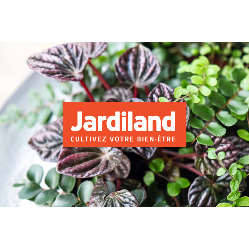 E-Carte Cadeau Jardiland