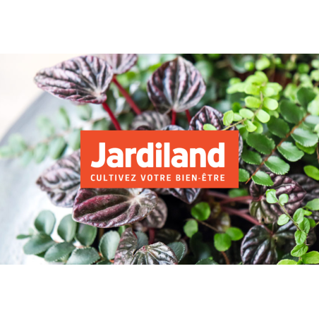 E-Carte Cadeau Jardiland
