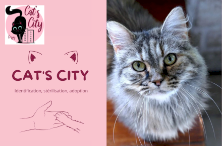 Association Cat's City Cergy